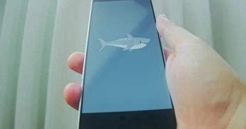 Great white shark, white pointer, presentation Video stock 313501069