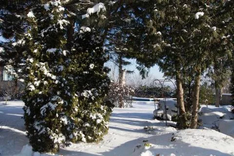 Great winter day. Stock Photos