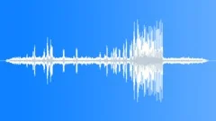 Greater Bird of ParadiseSound Effect