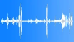 Greater Bird of ParadiseSound Effect