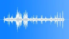 Greater Bird of ParadiseSound Effect