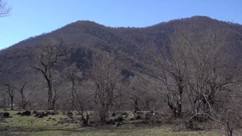 The Greater Caucasus Mountains during early spring time. Stock Footage 332071100