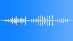 Greater kestrel callingSound Effect