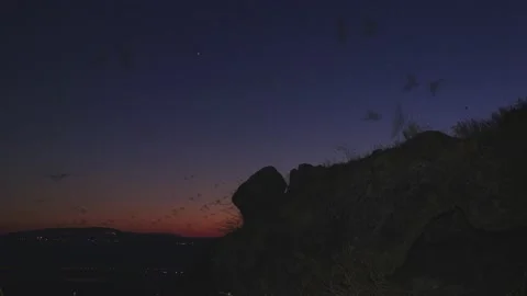 Greater mouse-tailed bat colony Flying out of the cave into the evening sky Stock Footage 139287728