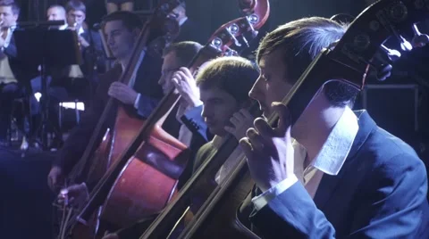 The Greatest Hits by Rock Symphony Double Bass Section of an Orchestra Stock Footage 60227223