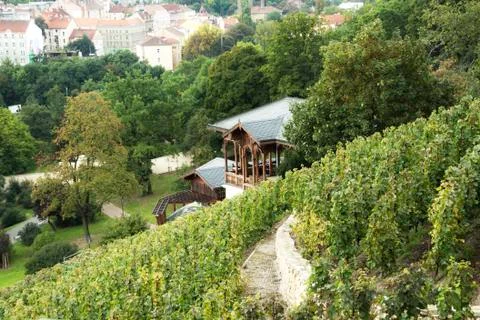 Grebovka wineyard in Prague Stock Photos