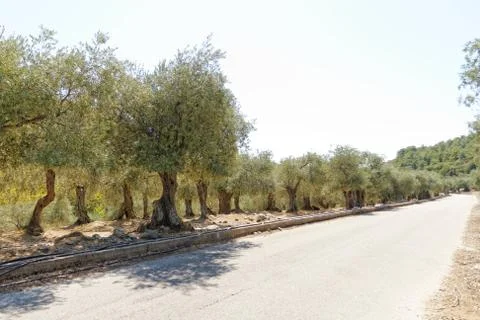 Grece, Thassos Stock Photos