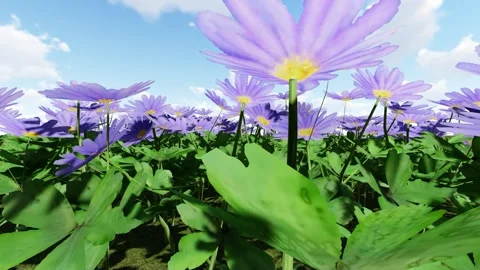 Grecian Wind Flower Purple Stock-Footage 340357261