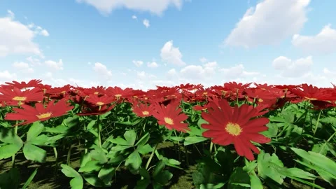 Grecian Wind Flower Red 库存影片 340356205
