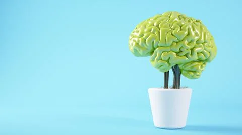 Gree brain plant Illustrazione stock