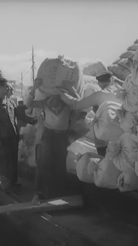 GREECE - 1940s - Men unload cargo from boats in a Greek harbor. Stock Footage 342634336