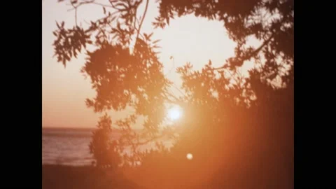 Greece 1966, Orange sunset over the sea with silhouetted trees Video stock 229144518