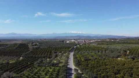 Greece 4K. Orange Trees and Taigeto Snowed Mountain Peak. Roads. Olive. Pelo Stock Footage 330481926