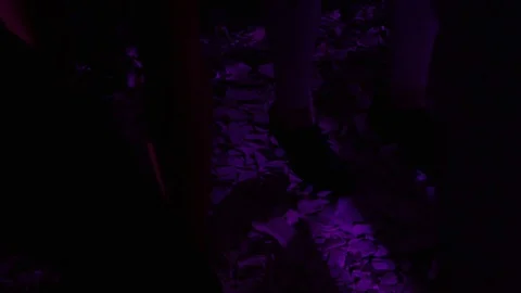 Greece Dancing on Plates 4k Stock Footage 102927174