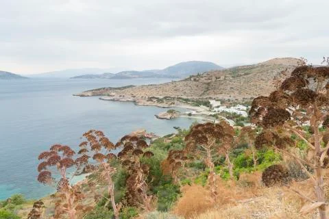 Greece shore Stock Photos