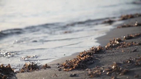 Greece's beaches in sunset splendor 2 Stock Footage 128236674