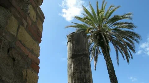 Greek Column with Palm Tree Video stock 11242551