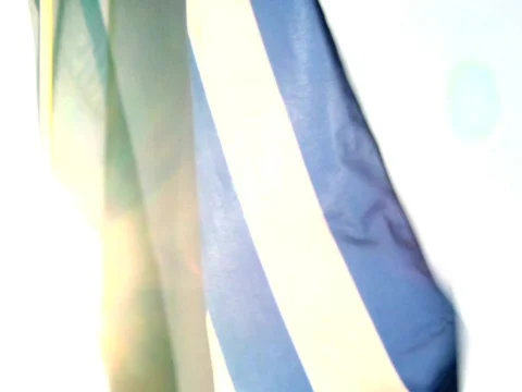 Greek Flag Stock Footage 512642