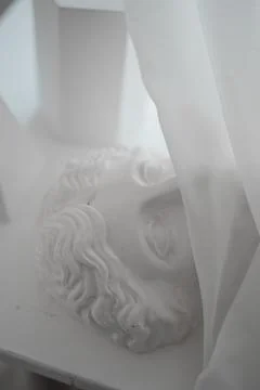 Greek gypsum bust covered by a translucent veil Stock Photos