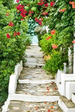 Greek steps Stock Photos