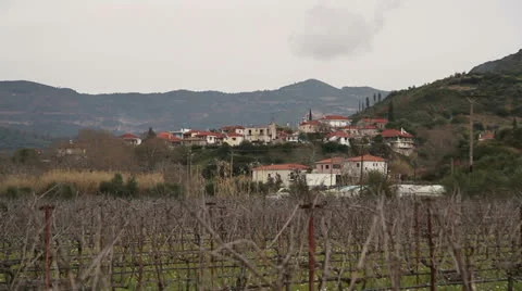 Greek Vineyard Stock Footage 23863653