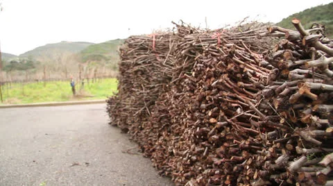 Greek Vineyard Stock Footage 23868052