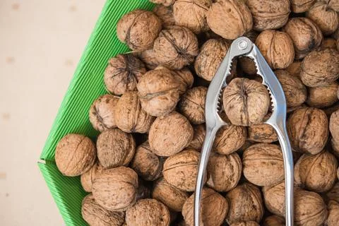Greek Walnut Clamped in a Nutcracker Stock Photos