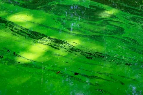 Green abstract background created in one slime Fotos de archivo