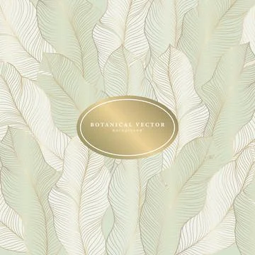 Green abstract background with delicate feathers and golden elements. Stock Illustration