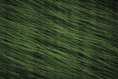 Green abstract background with dense diagonal lines creating a textured lin.. Foto stock