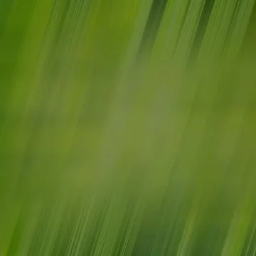 Green abstract background with diagonal lines. Blur in motion, square photo Stock Illustration