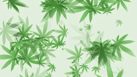 Green abstract background with flying geometric leaves marijuana pattern. Loop Stock Footage 305278320