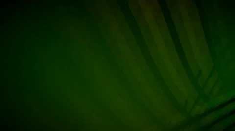 Green abstract background Stock Footage 9546309
