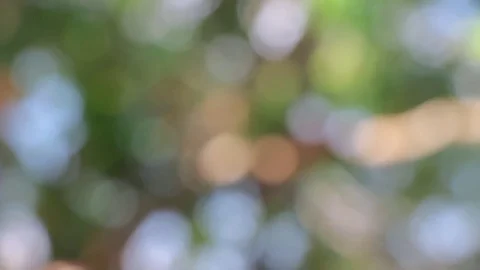 Green Abstract Background Stock Footage 79925113
