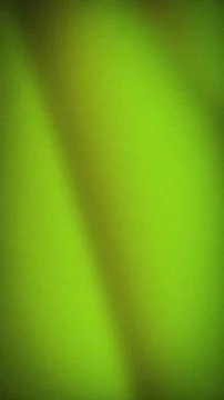 Green abstract background with gradient blur in vibrant lime and olive shad.. Stock Photos