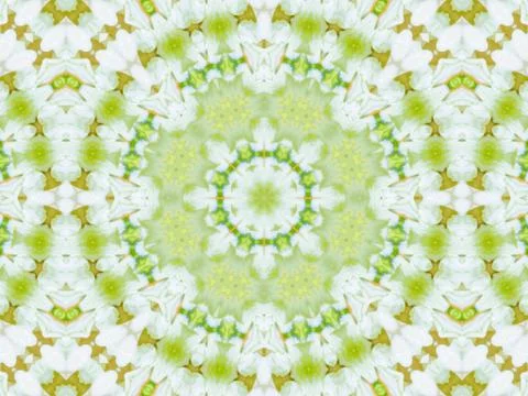 Green abstract background Stock-Illustration