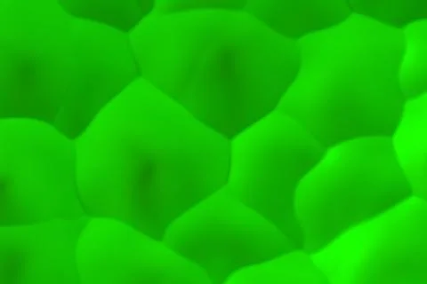 Green abstract background Stockillustratie