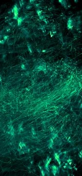 Green abstract background Stock Illustration