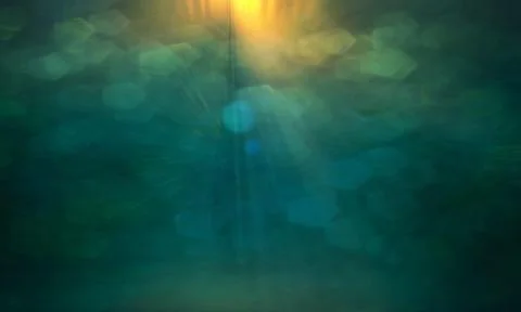 Green abstract background 스톡 일러스트