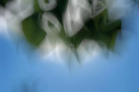 Green abstract background lines and angles blurred Illustrazione stock