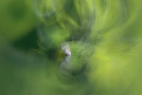 Green abstract background lines and angles blurred Stock Illustration