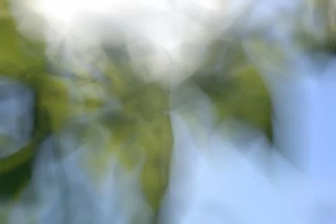 Green abstract background lines and angles blurred Illustrazione stock