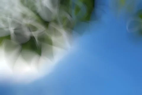 Green abstract background lines and angles blurred Stock Illustration