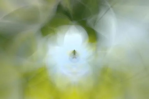 Green abstract background lines and angles blurred Illustrazione stock
