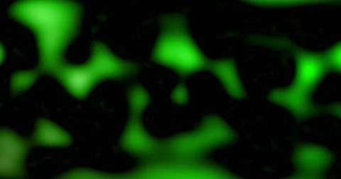 Green abstract background from particles. Abstract green white black lines Stock Footage 167449265