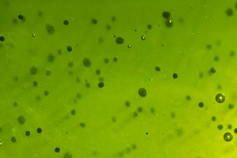 Green abstract background Stock Photos