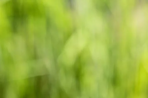 Green abstract background Stock Photos