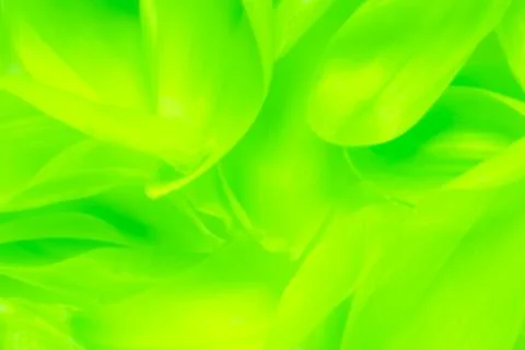 Green abstract background Stock Photos