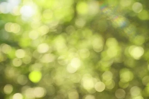 Green abstract background Stock Photos