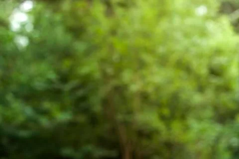 Green abstract background Stock Photos